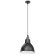 Подвесной светильник с 1 плафоном Lightstar 765017 Loft под лампу 1xE14 40W