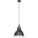 Подвесной светильник с 1 плафоном Lightstar 765017 Loft под лампу 1xE14 40W