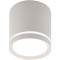 DK4013-WH Светильник накладной IP 20, 5 Вт, LED 4000, белый, алюминий/акрил