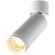 Потолочный светильник Technical C055CL-L12W2.7K-Z-W