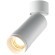 Потолочный светильник Technical C055CL-L12W2.7K-Z-W