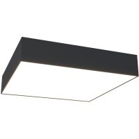 Потолочный светильник Technical C067CL-L40B3K
