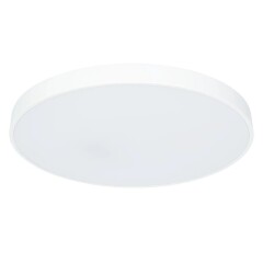 Настенно-потолочный светильник Arte Lamp A2671PL-1WH ARENA светодиодный LED 80W