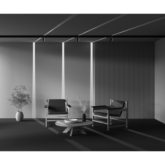 TR090-4-6W-DS-B Трековый магнитный SMART (App, Bluetooth Mesh, Алиса) светодиодный светильник Maytoni Exility CRI90+ 2700-6000К 31Лм 180° 6Вт TR090-4-6W-DS-B Трековый магнитный SMART (App, Bluetooth Mesh, Алиса) светодиодный светильник Maytoni Exility CRI90+ 2700-6000К 31Лм 180° 6Вт