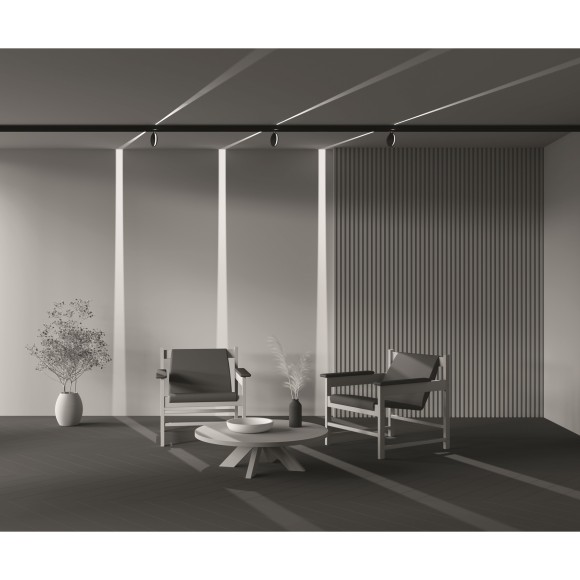 TR090-4-6W-DS-B Трековый магнитный SMART (App, Bluetooth Mesh, Алиса) светодиодный светильник Maytoni Exility CRI90+ 2700-6000К 31Лм 180° 6Вт TR090-4-6W-DS-B Трековый магнитный SMART (App, Bluetooth Mesh, Алиса) светодиодный светильник Maytoni Exility CRI90+ 2700-6000К 31Лм 180° 6Вт