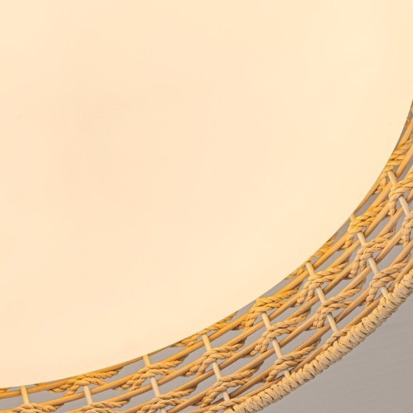 4749-4C, Потолочный светильник, D430xH100, LEDx25W, 1300LM, 3000/4000/6000K, included, remote control