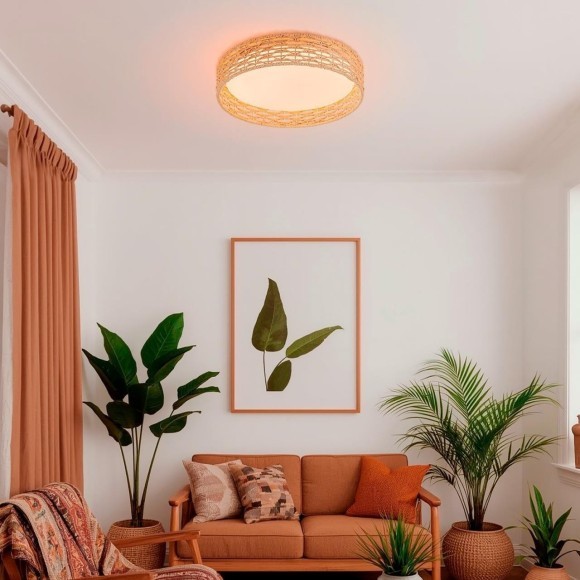 4749-4C, Потолочный светильник, D430xH100, LEDx25W, 1300LM, 3000/4000/6000K, included, remote control