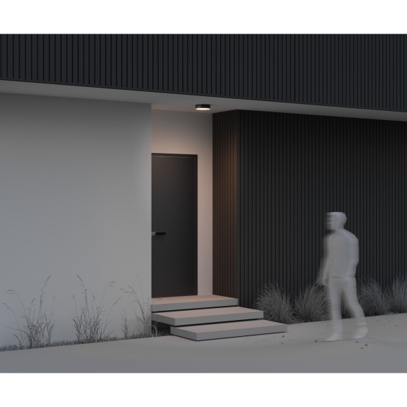 Потолочный светильник Outdoor O431CL-L30B3K Потолочный светильник Outdoor O431CL-L30B3K