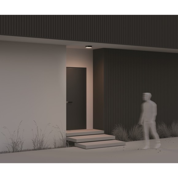 Потолочный светильник Outdoor O431CL-L30B3K Потолочный светильник Outdoor O431CL-L30B3K