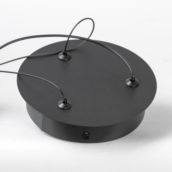 Подвесной светильник Lussole LSP-7362 Подвесной светильник Lussole LSP-7362