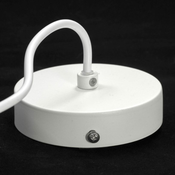 Подвесной светильник с 1 плафоном Lussole LSP-8135 SUBWAY IP21 под лампу 1xE27 60W