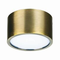 Накладной потолочный светильник Lightstar 211911 Zolla IP44 светодиодный LED 100W