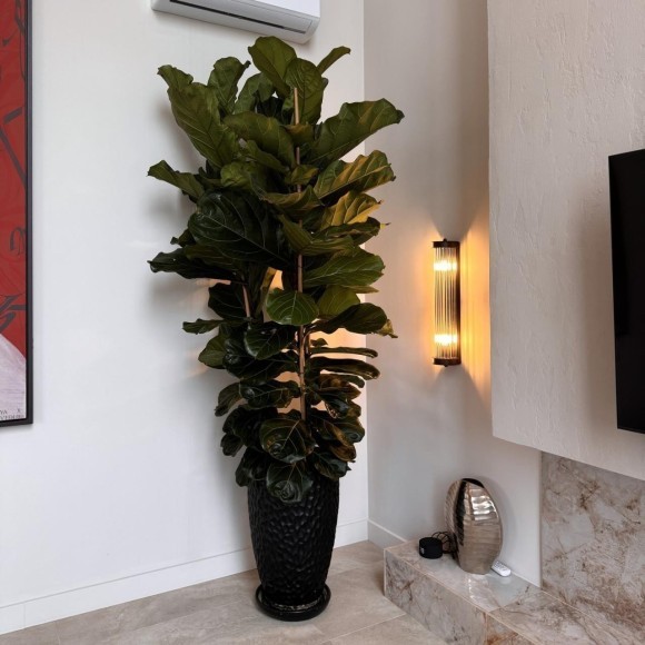 Настенный светильник Trompa 4093-2W