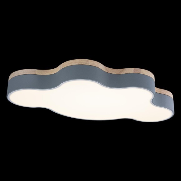 10005/36 Grey Потолочный светильник LOFT IT Axel 10005/36 Grey Потолочный светильник LOFT IT Axel