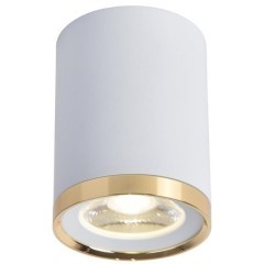 Точечный светильник Prakash 3085-1C