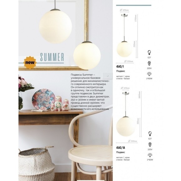 Подвесной светильник Lumion 4543/1A SUMMER под лампу 1xE27 60W