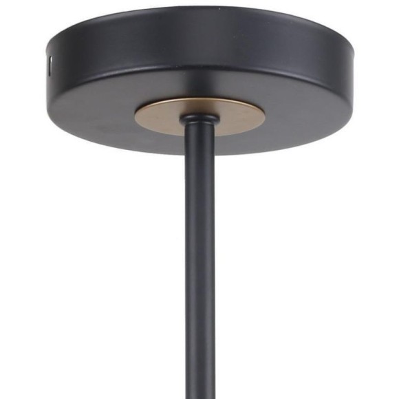 Потолочная люстра Rigor 2844-5P Потолочная люстра Rigor 2844-5P