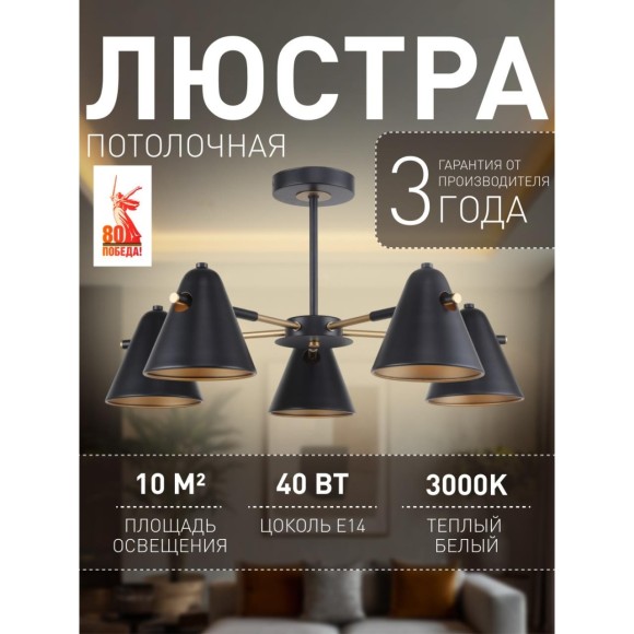 Потолочная люстра Rigor 2844-5P