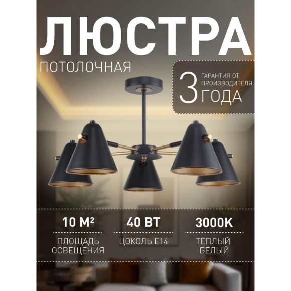 Потолочная люстра Rigor 2844-5P