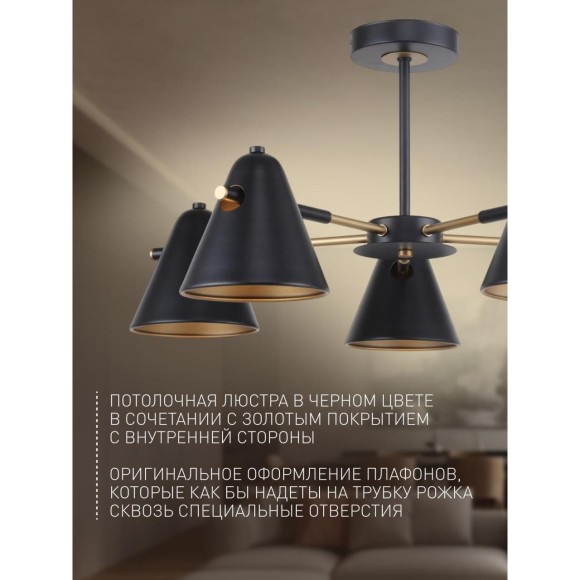 Потолочная люстра Rigor 2844-5P