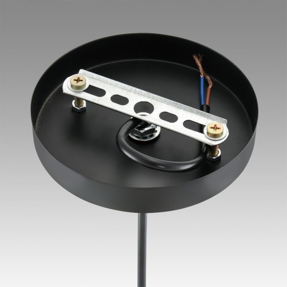 Подвесной светильник E27 Lumion LEONELA 8052/1А