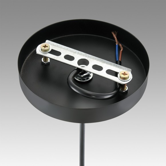 Подвесной светильник E27 Lumion LEONELA 8052/1А