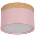 10162 Pink Накладной светильник LOFT IT Grape