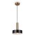 Подвесной светильник с 1 плафоном Freya FR4008PL-01BBS Izza под лампу 1xE27 40W