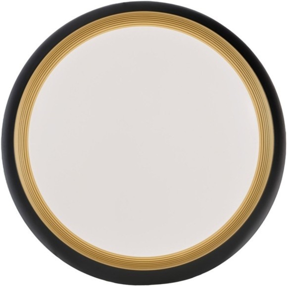 Потолочный светильник Paneli LDC 8062-48W BK Потолочный светильник Paneli LDC 8062-48W BK