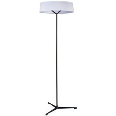 Торшер Divinare ALMA 1029/06 PN-11 Торшер Divinare ALMA 1029/06 PN-11