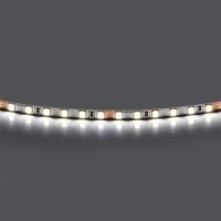 Лента холодного белого свечения 24V Lightstar Lightstar 420505