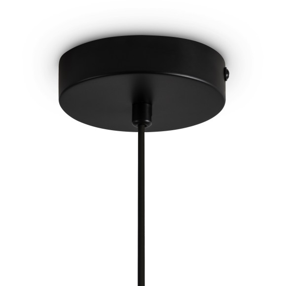 Подвесной светильник Freya FR5593PL-01B