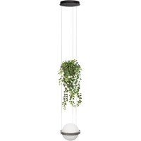10121/1P Dark grey Подвесной светильник LOFT IT Jardin