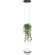 10121/1P Dark grey Подвесной светильник LOFT IT Jardin