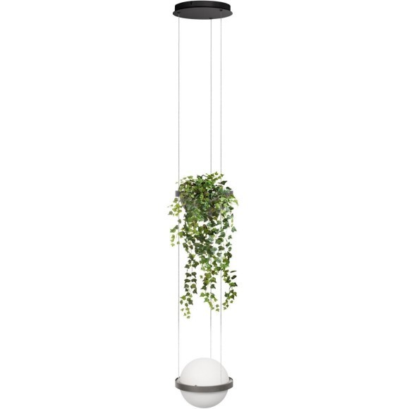 10121/1P Dark grey Подвесной светильник LOFT IT Jardin