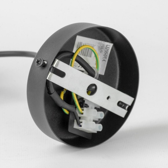 Подвесной светильник Lussole LSP-8866 Подвесной светильник Lussole LSP-8866