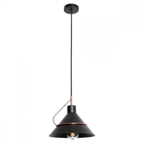 Подвесной светильник с 1 плафоном Lussole LSP-8265 BOSSIER IP21 под лампу 1xE27 60W
