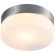 Уличный потолочный светильник Arte Lamp A6047PL-1SS AQUA-TABLET IP44 под лампу 1xE27 60W