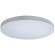 10002/48 White Потолочный светильник LOFT IT Axel
