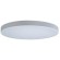10002/48 White Потолочный светильник LOFT IT Axel