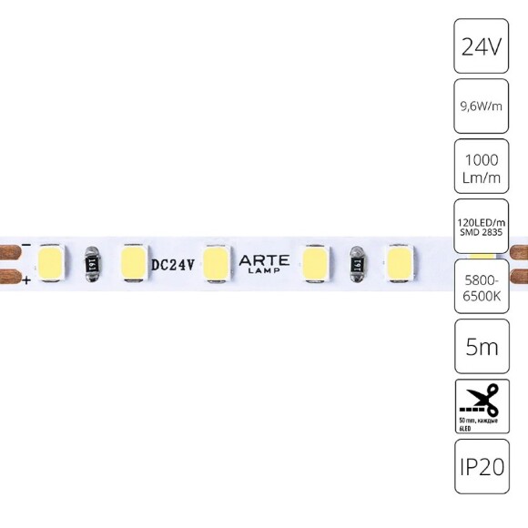 A2412005-03-6K Светодиодная лента 24В 9,6Вт/м 1000Лм/м 6000К CRI 90+ 5мм SMD2835 120шт/м 5м IP20