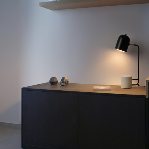 Настольный светильник Freya FR5279TL-01B1