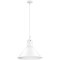 Подвесной светильник с 1 плафоном Lightstar 765026 Loft под лампу 1xE14 40W