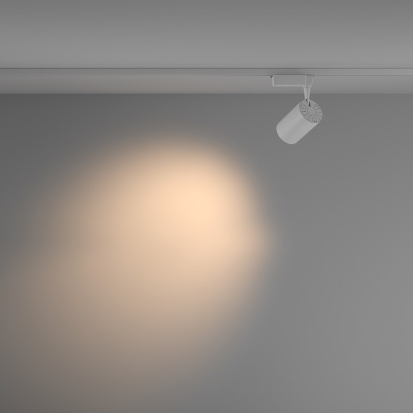 Однофазный двужильный светодиодный трековый светильник Maytoni Unity TR003-1-26W3K-M-W Vuoro 3000К 2690Лм CRI90+ 36° 26Вт
