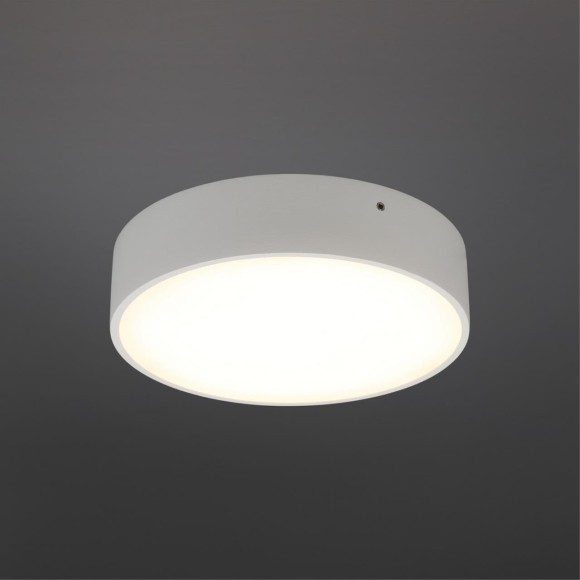 Светильник настенно-потолочный APL.0113.09.18