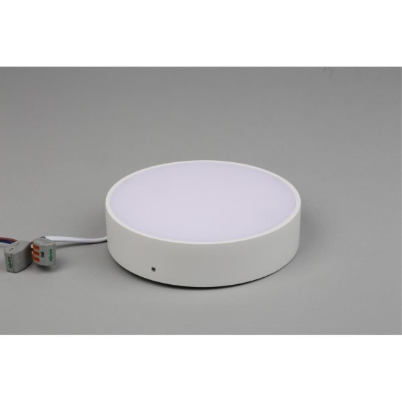 Светильник настенно-потолочный APL.0113.09.18