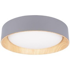 10202 Grey Потолочный светильник LOFT IT Coin 10202 Grey Потолочный светильник LOFT IT Coin