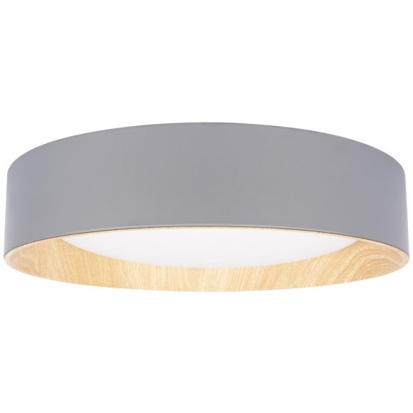 10202 Grey Потолочный светильник LOFT IT Coin