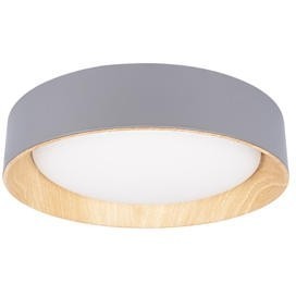 10202 Grey Потолочный светильник LOFT IT Coin