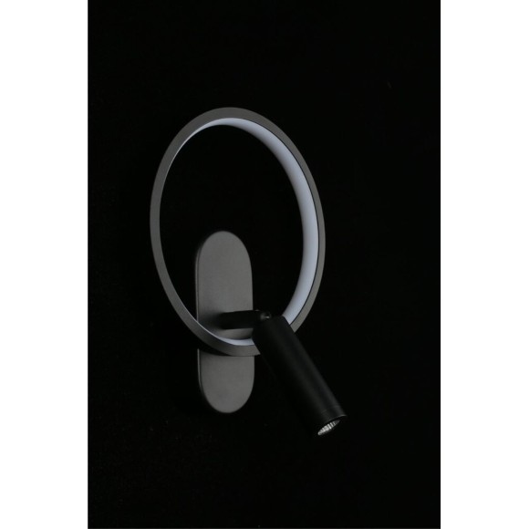 Светильник настенный (Бра) APL.346.01.02